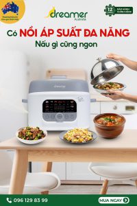 Nồi áp suất điện đa năng Dreamer