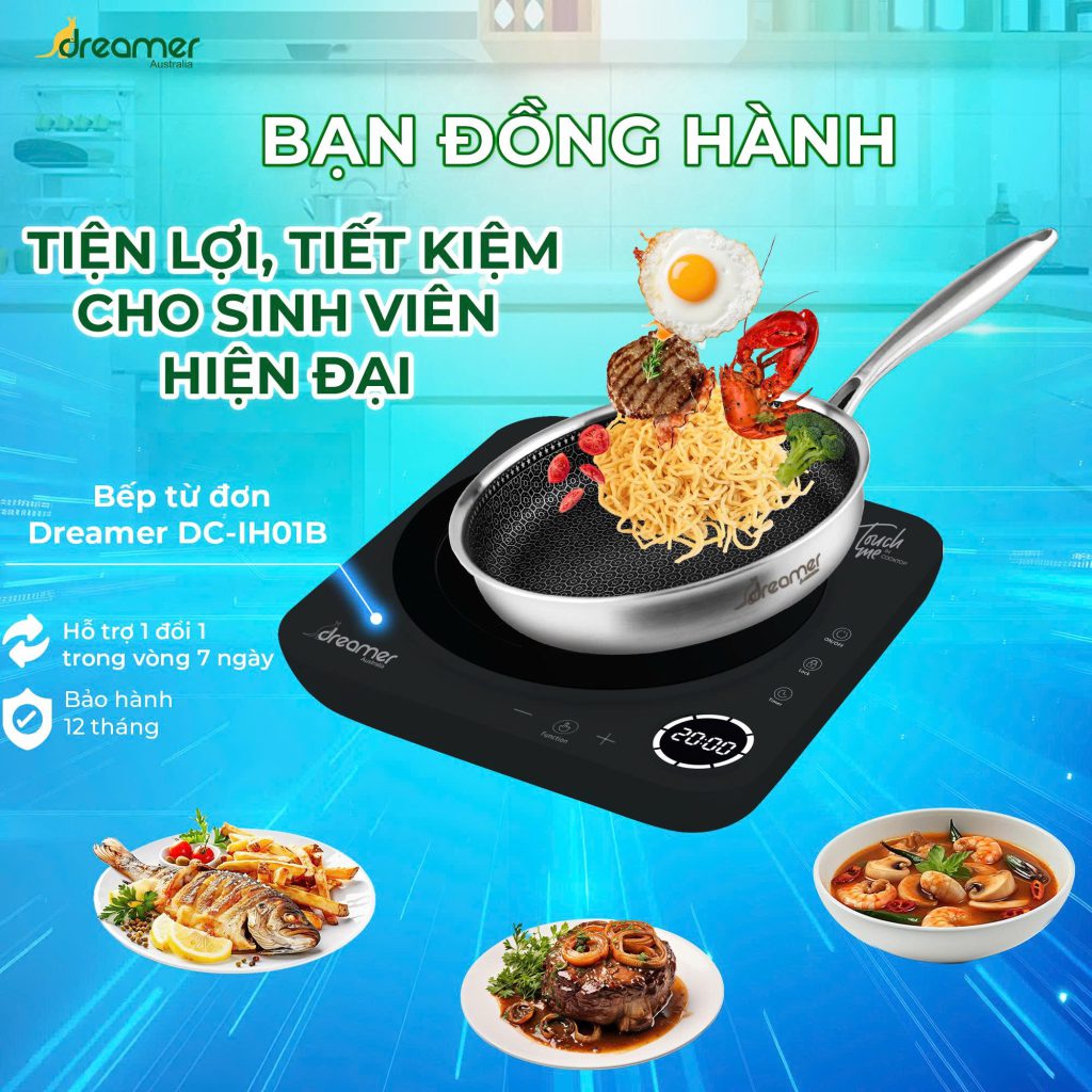 bếp từ đơn